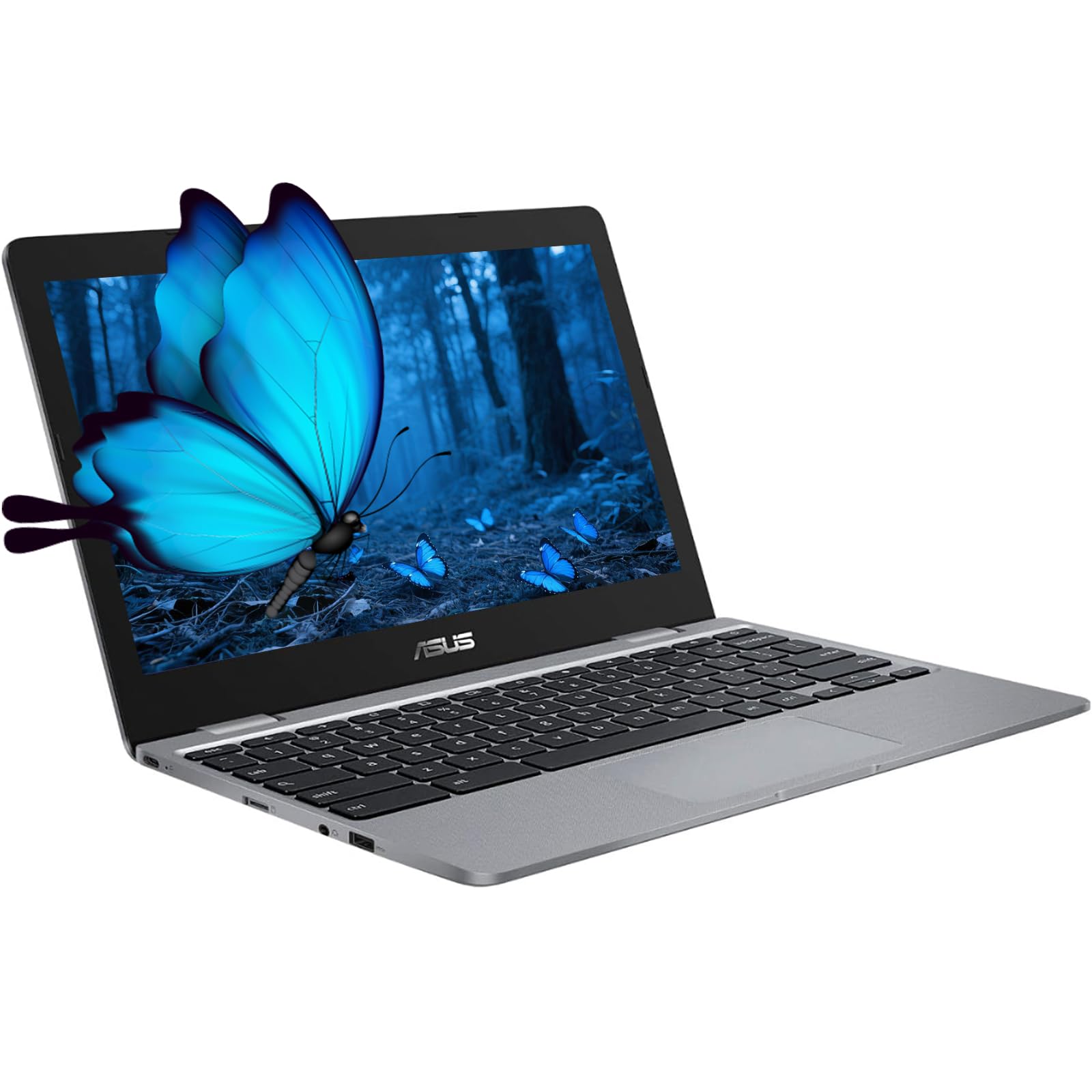 Amazon.com: ASUS Chromebook Laptop,11.6