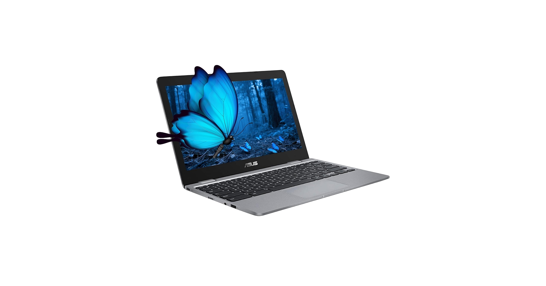 Amazon.com: ASUS Chromebook Laptop,11.6