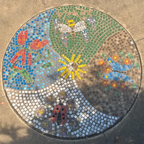 Couverture de Crazy and Free !