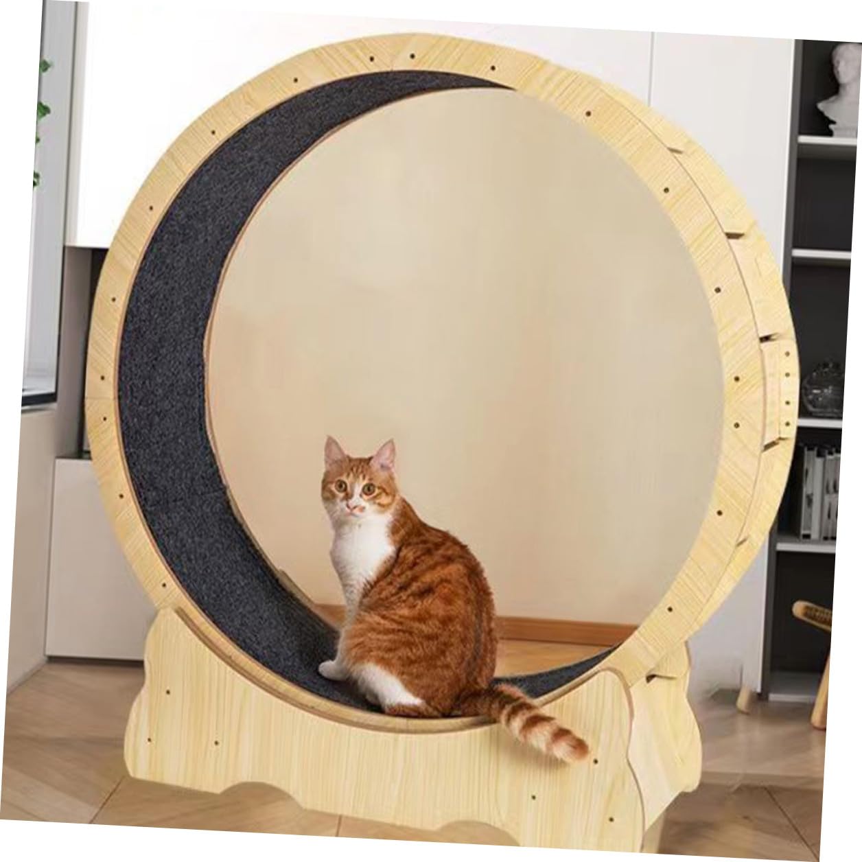 Katzenkratzmatte Ersatzmatte aus Robustem Material für Katzenlaufband Trainingsradpolster Kratzpad Zubehör für Katzenlaufband und Kratzbretter Innenbereich