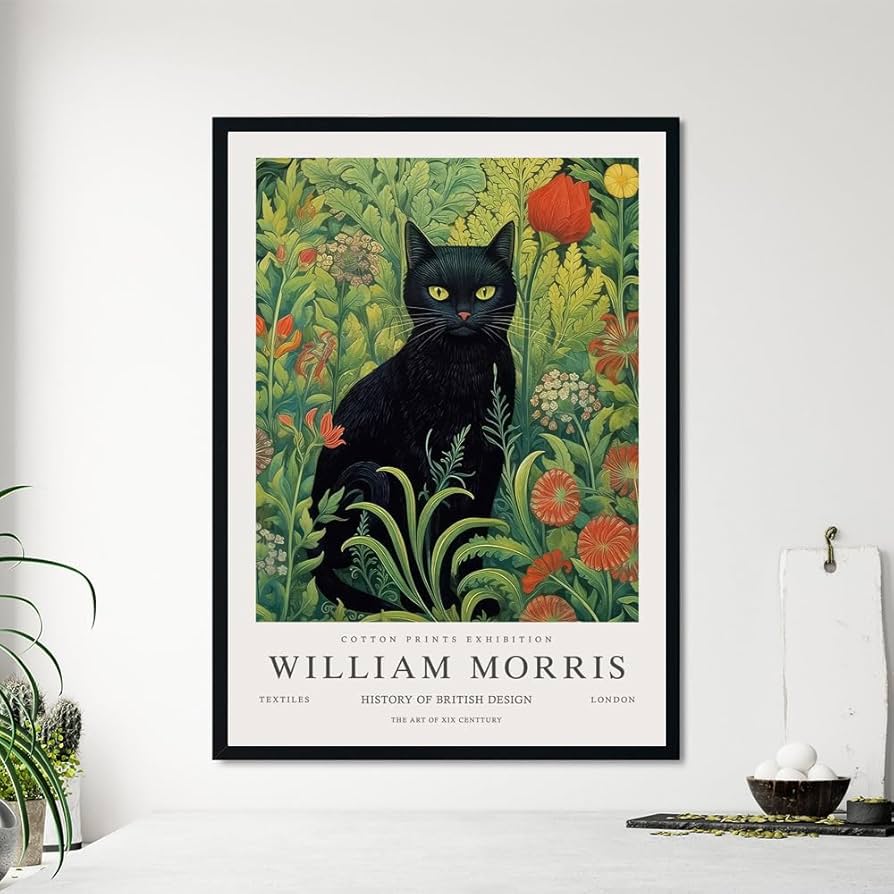 61qm0S9v4mL._AC_UF894,