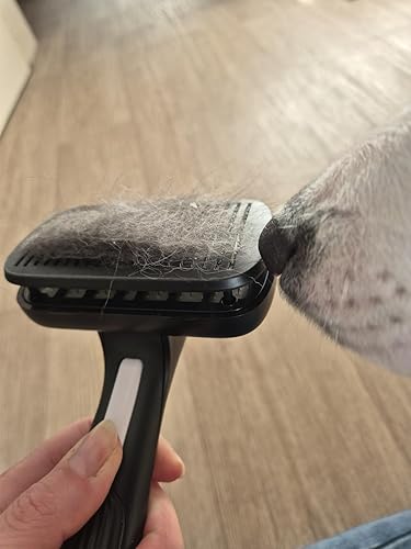 NobelFell Fellbürste Kundenbewertung von Timo P.