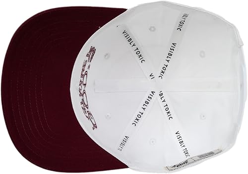 Miniatura 9 de Visibly Toxic Sombrero divertido, ajustable a presión, unisex, sombreros para hombres, sombreros para mujeres, sombrero elegante, sombrero de fiesta