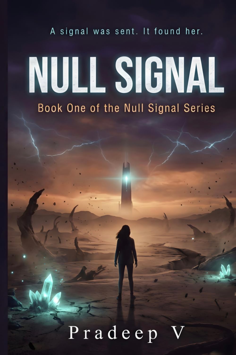 NULL SIGNAL: Book One of the Null Signal Series