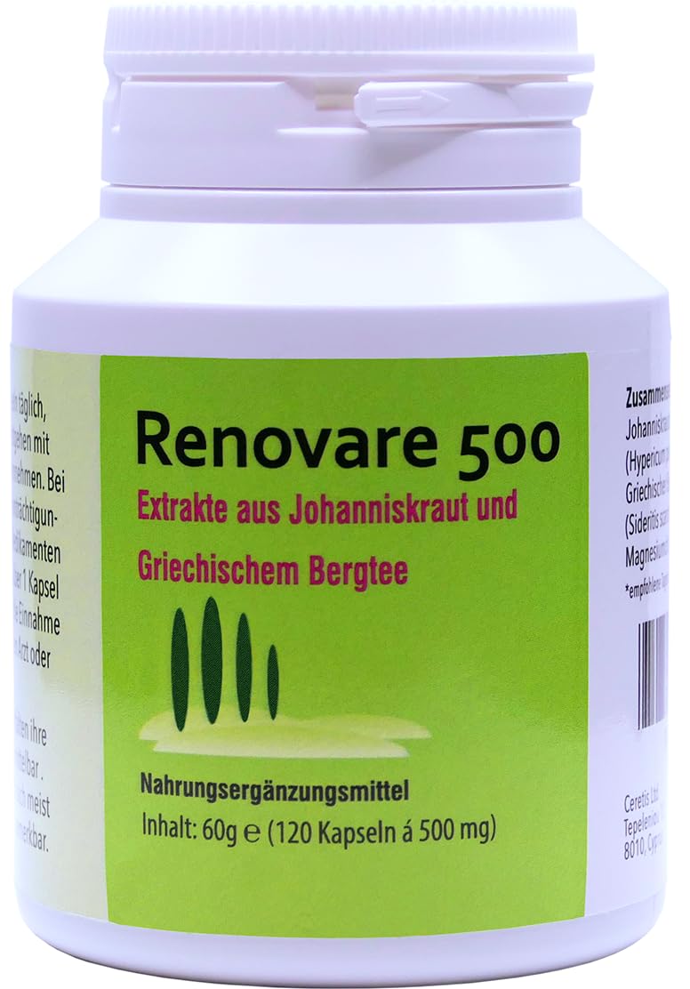 Renovare 500 Nootropic 120 Kapseln, Gedächtnis, kognitive Fähigkeiten, Konzentration und Fokus