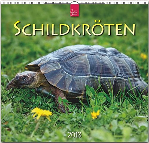 SCHILDKRÖTEN: Original Stürtz-Kalender 2018 - Mittelformat-Kalender 33 x 31 cm SCHILDKRÖTEN: Original Stürtz-Kalender 2018 - Mittelformat-Kalender 33 x 31 cm