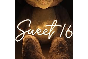 SYLHOME Sweet 16 LED Neon Sign: Light Up Your Sweetest Celebration