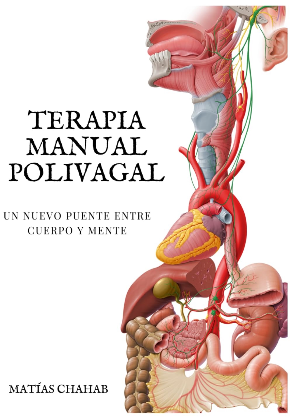 TERAPIA MANUAL POLIVAGAL: UN NUEVO PUENTE ENTRE EL CUERPO Y LA MENTE