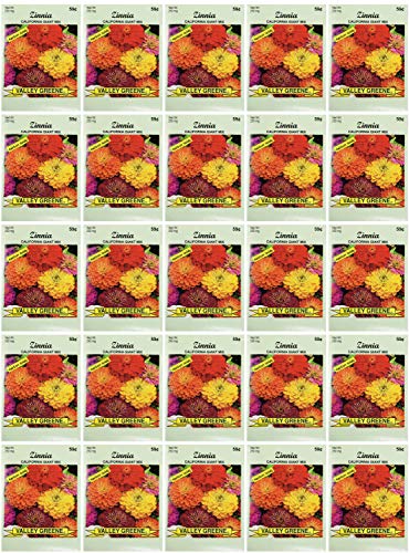 Black Duck Brand Set of 25 Packs of Zinnia California