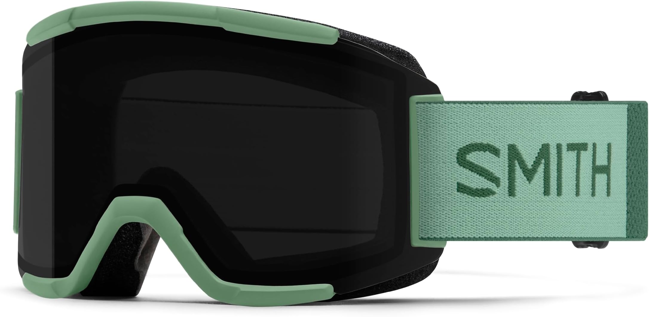 Smith Optics Squad Unisex Snow Winter Goggle - Aloe, ChromaPop Sun Black