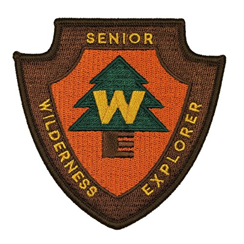 Senior Wilderness Explorer Disney Pixar Patch Scout Badge Up Craft Iron On Applique