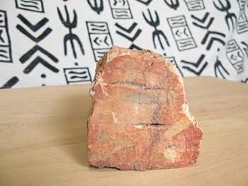 超特大の珪化木の化石です。 これがマダガスカル産の最高峰の珪化木（ケイカボク）。38cmで8300g