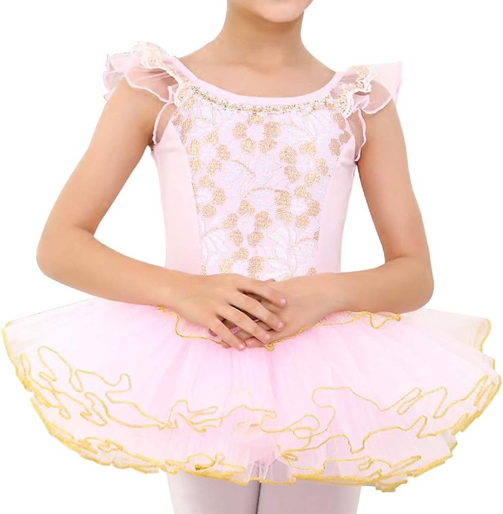 BAOHULU Girls Skirted Leotards Ballet Dance Tutu Princess Dress Ballerina Costumes 3-8Y : Clothing, Shoes & Jewelry
