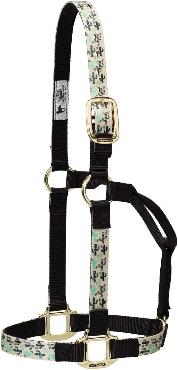 Weaver Leather Non-Adjustable Patterned Nylon Horse Halter, Cactus, Small