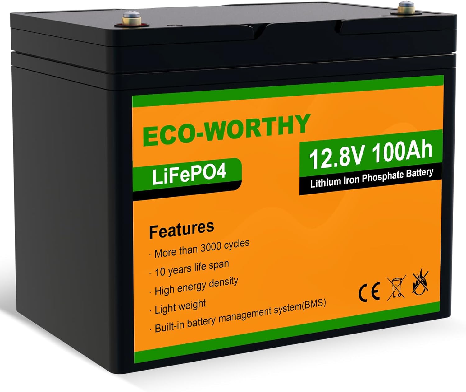 ECOWORTHY Batteria Litio 12V LiFePO4 100Ah with BMS, Scarica Profonda