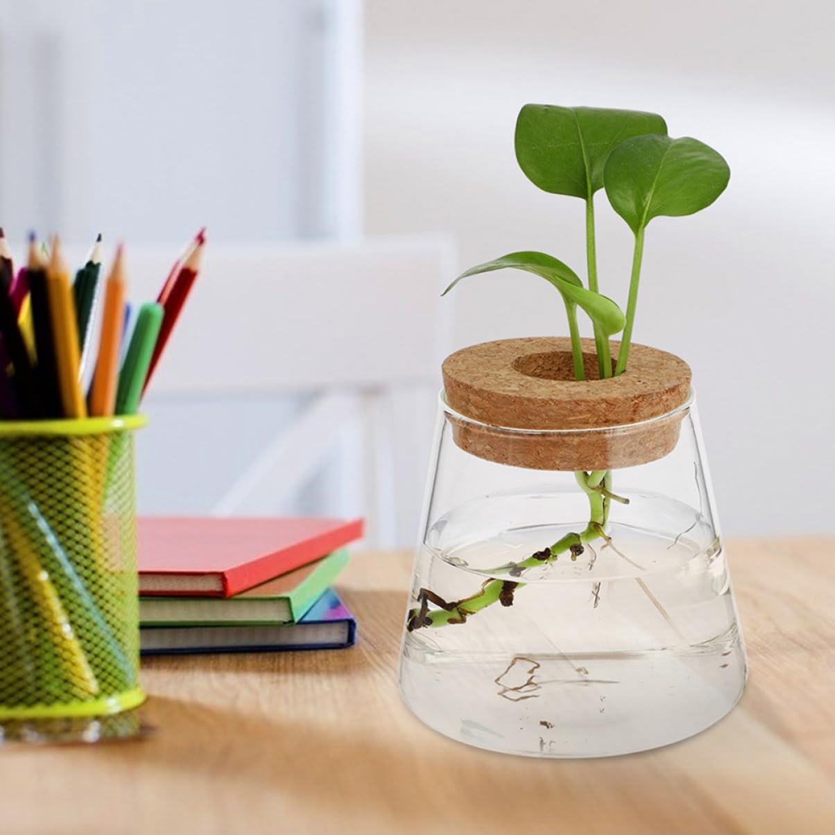 TOPBATHY 3pièces Vase Hydroponique Verre avec Couvercle Petite Jardinière pour Propagation De Plantes Terrarium De Bureau Transparent pour Fleurs