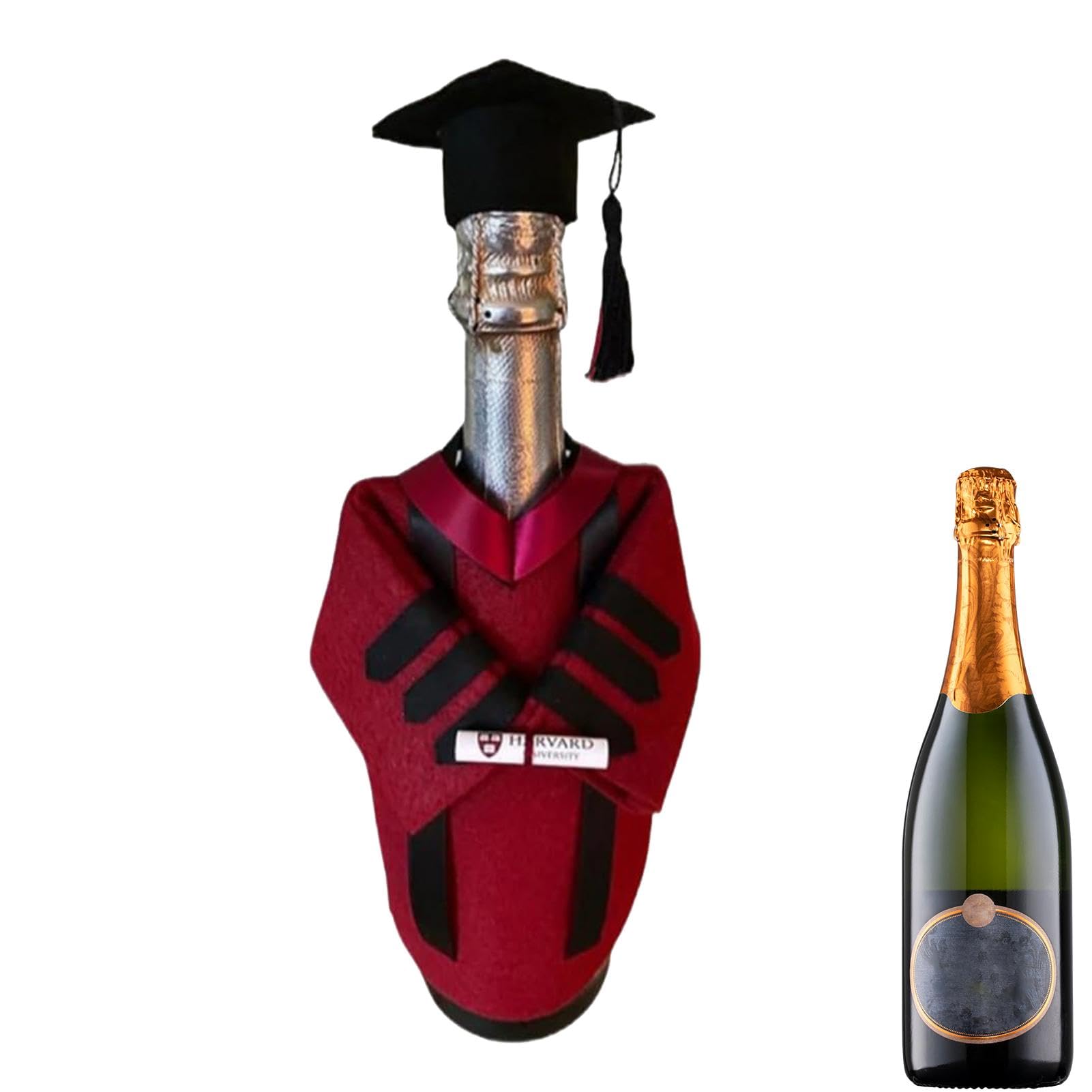Mixweer Set di coperture per bottiglie di vino per laurea con nappe, in