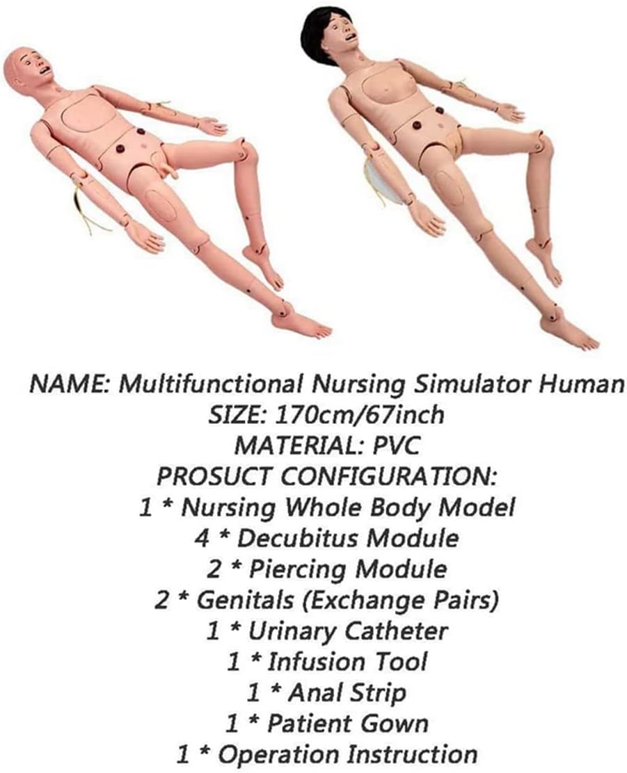 CHROX Mannequin De Formation Aux Compétences en Soins Infirmiers Modèle Anatomique Humain en PVC Mannequin De Soins Infirmiers Masculin Et Féminin, De Médecine Infirmière