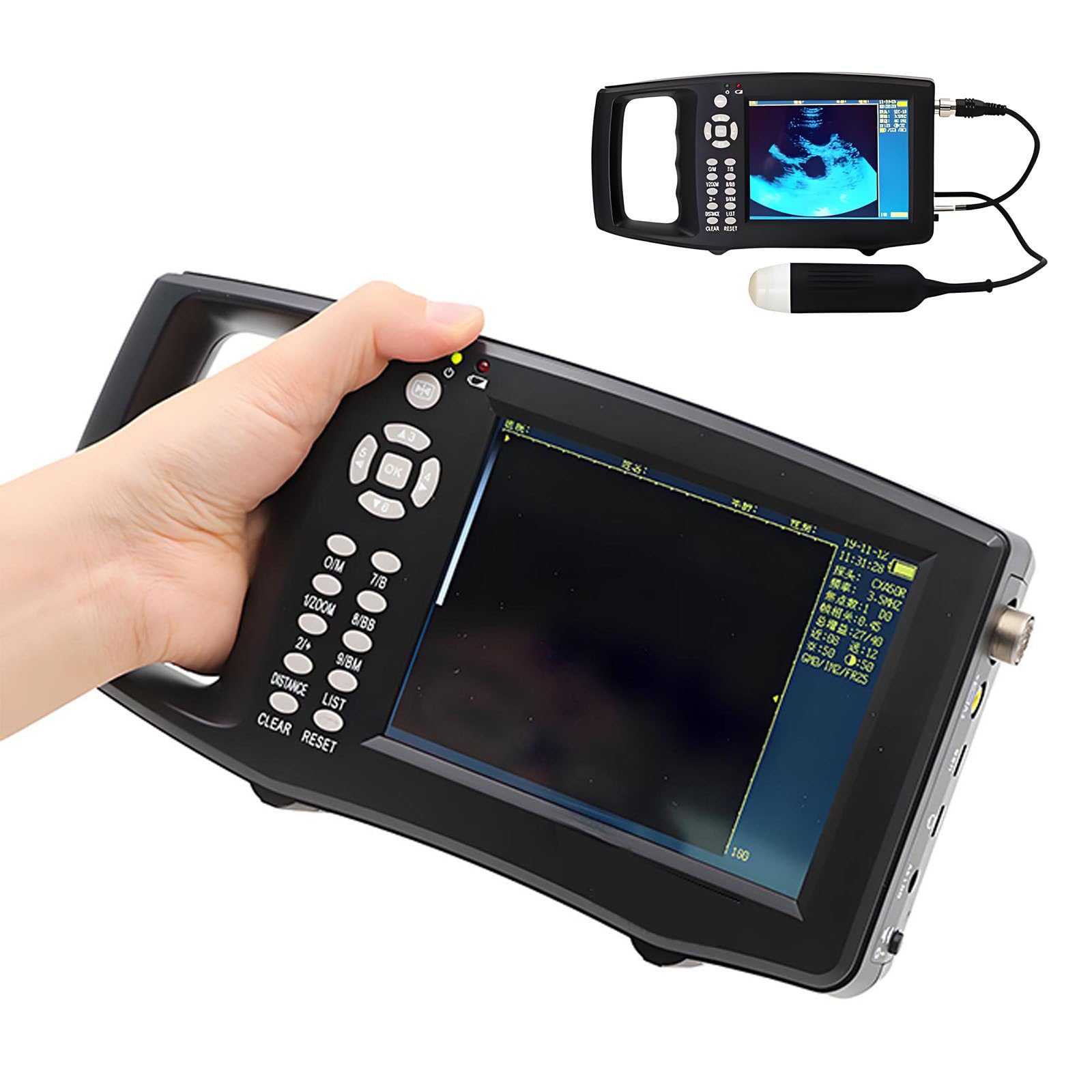 Veterinario Portatile con Sonda ​​e Display 5,6" A