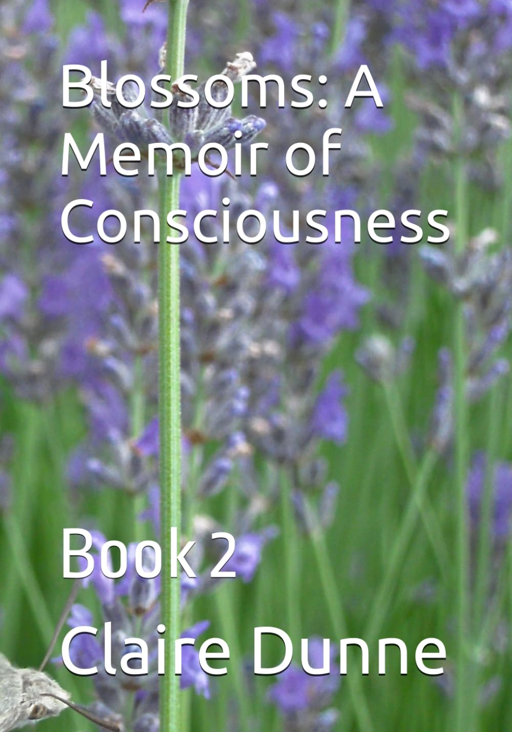 Blossoms: A Memoir of Consciousness: Book 2