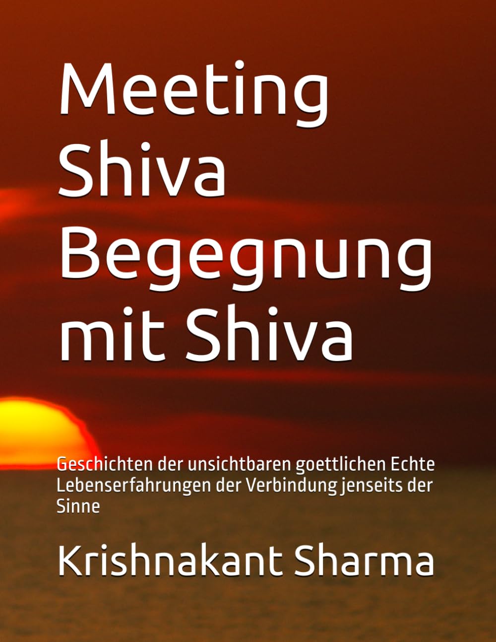 Meeting Shiva Begegnung mit Shiva: Geschichten der unsichtbaren goettlichen Echte Lebenserfahrungen der Verbindung jenseits der Sinne