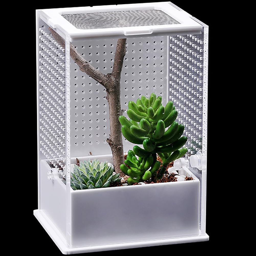 Akrylowe terrarium dla gadów, zbiornik dla gadów do wzrostu, mini terrarium do wzrostu gadów, siedlisko dla gadów dla zwierząt domowych, pudełko do żerowania dla gadów i płazów,S