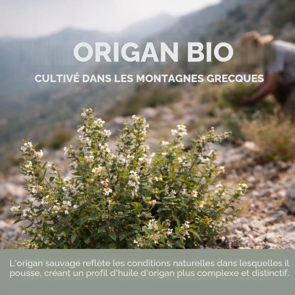 Huile d’Origan Sauvage en Gouttes – 86–90% Carvacrol – Huile d’Origan Liquide Bio – Origine Grecque – 30 ml