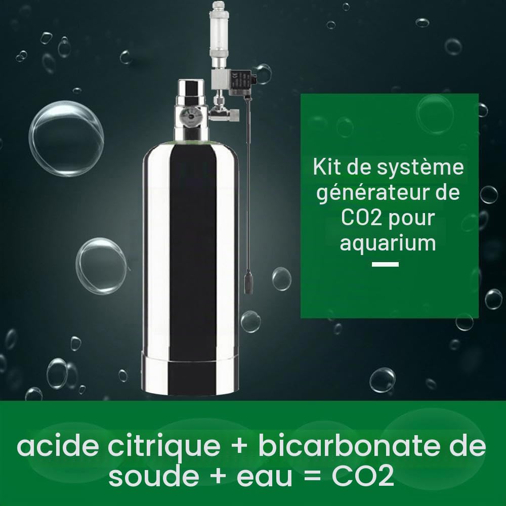 Système Générateur de CO₂, 5L Système CO₂ pour Double Aquarium | Kit Réacteur à Dioxyde de Carbone avec Bouteille en Acier Inoxydable Électrovanne Compteur de Bulles Fétendeur