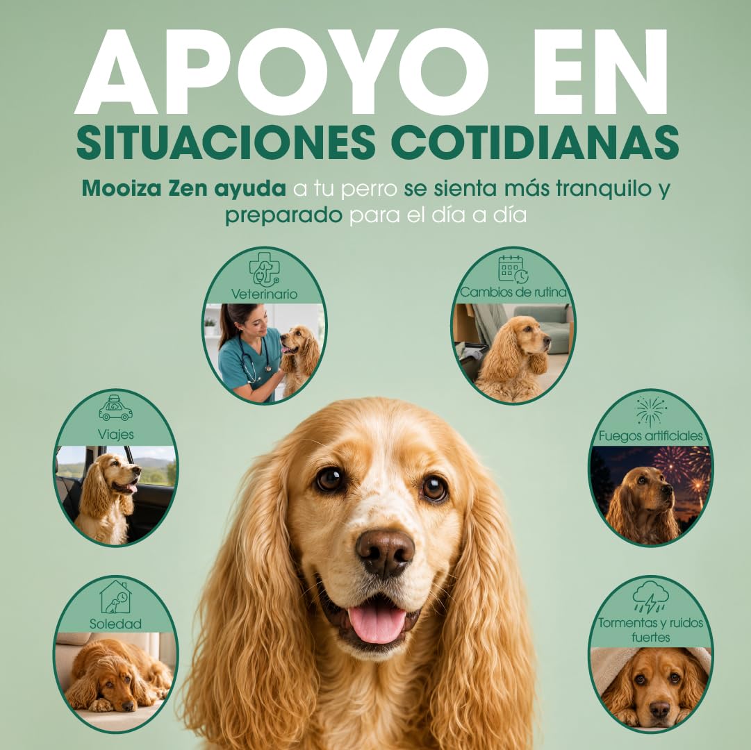 Calmante Perros 100% Natural - Ansiedad Antiestrés para Perro con L-Triptófano Valeriana Hipérico - Snacks para Perros 300g en Formato Galletas Semi Blandas - MOOIZA