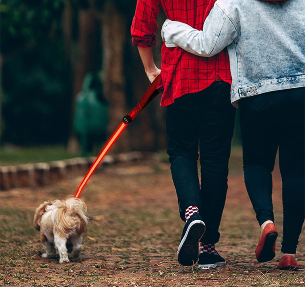 Luminoso Correa de Perro con Luz 1.2m Correas para Mascotas Recargable Visibilidad LED Correa para Perros Caminata Nocturna (Rojo)