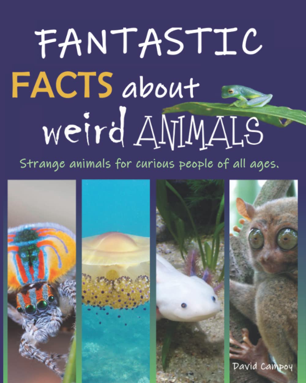 Fantastic facts about weird animals: Strange animals for curious people of all ages