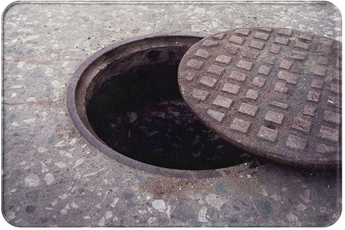 Tapete duradero para puerta de entrada y exterior, tapete decorativo para patio, garaje, jardín, cocina, porche, regalo, 16 x 24 pulgadas