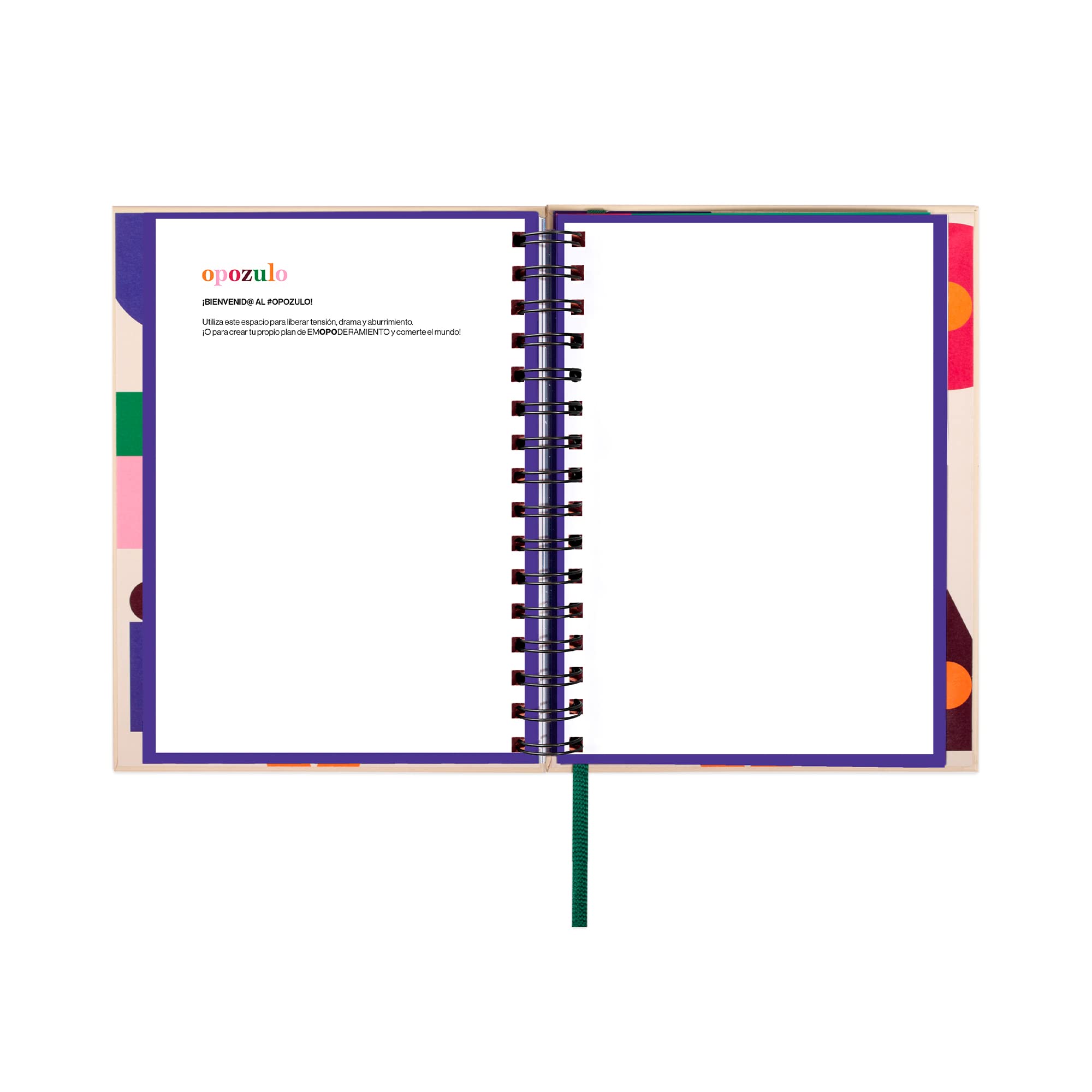 UO Agenda scolastica opposta, con energia oppositiva, giorno pagina, inizia a settembre 2023 e termina ad agosto 2024, copertina rigida, include 126 adesivi, elastico e nastro di registrazione,