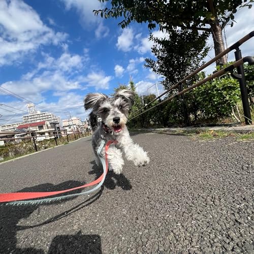 Page de couverture de 藤原ナオヒロとJOMI.Kの Midnight Desert 第263回（2025/11/4）