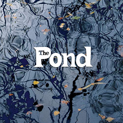 Pond