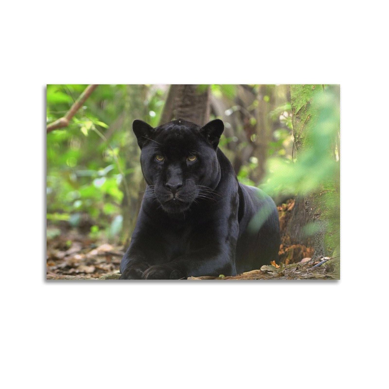 ZSZWHJ Animal Poster Black Panther Poster Decorative Painting Canvas Wall Posters And Art Picture Print Modern Family Bedroom Decor Posters 20x30inch(50x75cm)