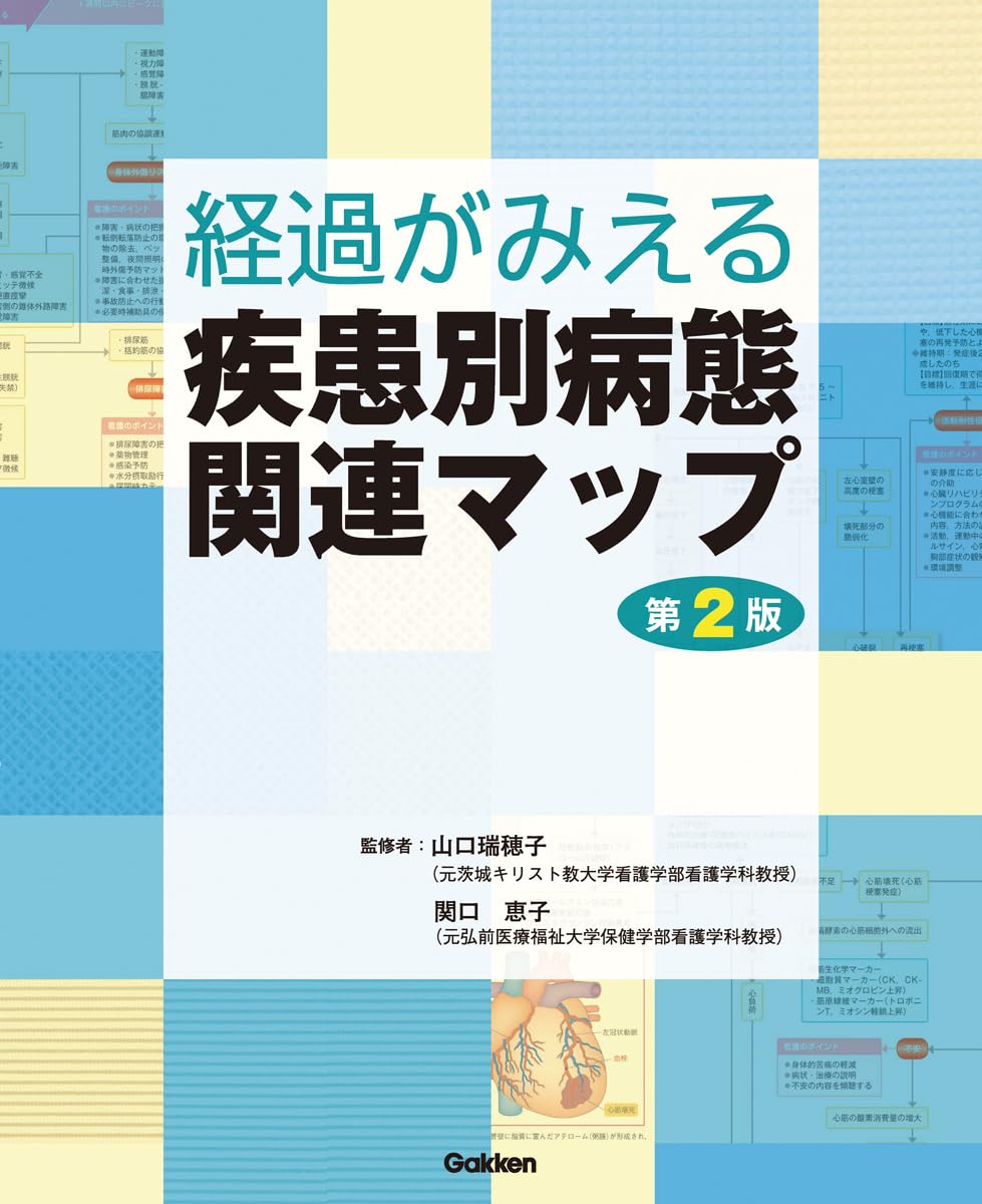 経過がみえる疾患別病態関連マップ第2版 | 山口瑞穂子, 関口恵子 |本