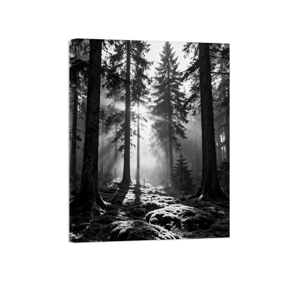 Black White Landscape Wall Art. Forest Sunshine 4. Picture 30x40cm Unframed
