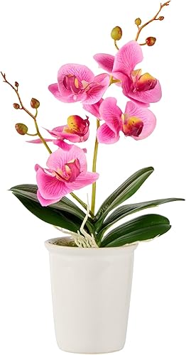 Restaurantware Fiore - Orquídeas artificiales de 4 x 14 pulgadas, 12 orquídeas falsas en maceta, 5 flores, uso como centro de mesa, decoración del