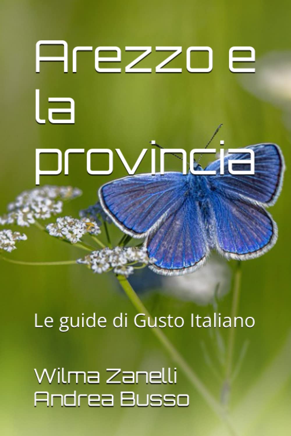 Arezzo e la provincia: Le guide di Gu Arezzo e la provincia: Le guide di Gu