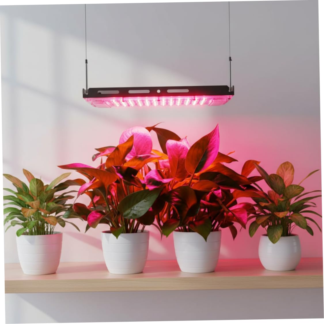 Lampe Horticole, 400 W LED à spectre complet élèvent la lumière, lampe de culture de plantes à intensité variable et couleur réglable, lumière plante d'intérieur semblable au soleil pour plant