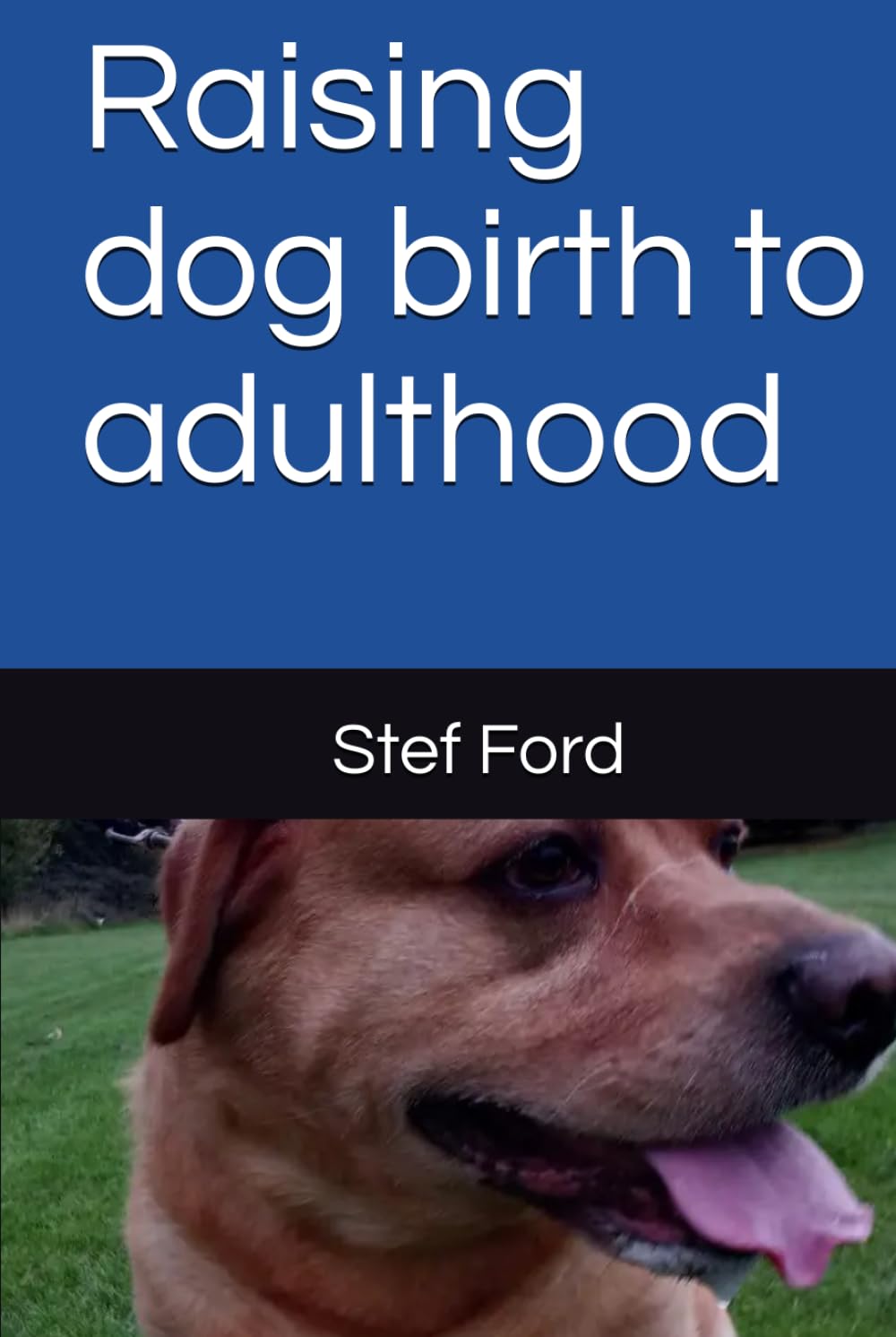 Raising dog birth to adulthood