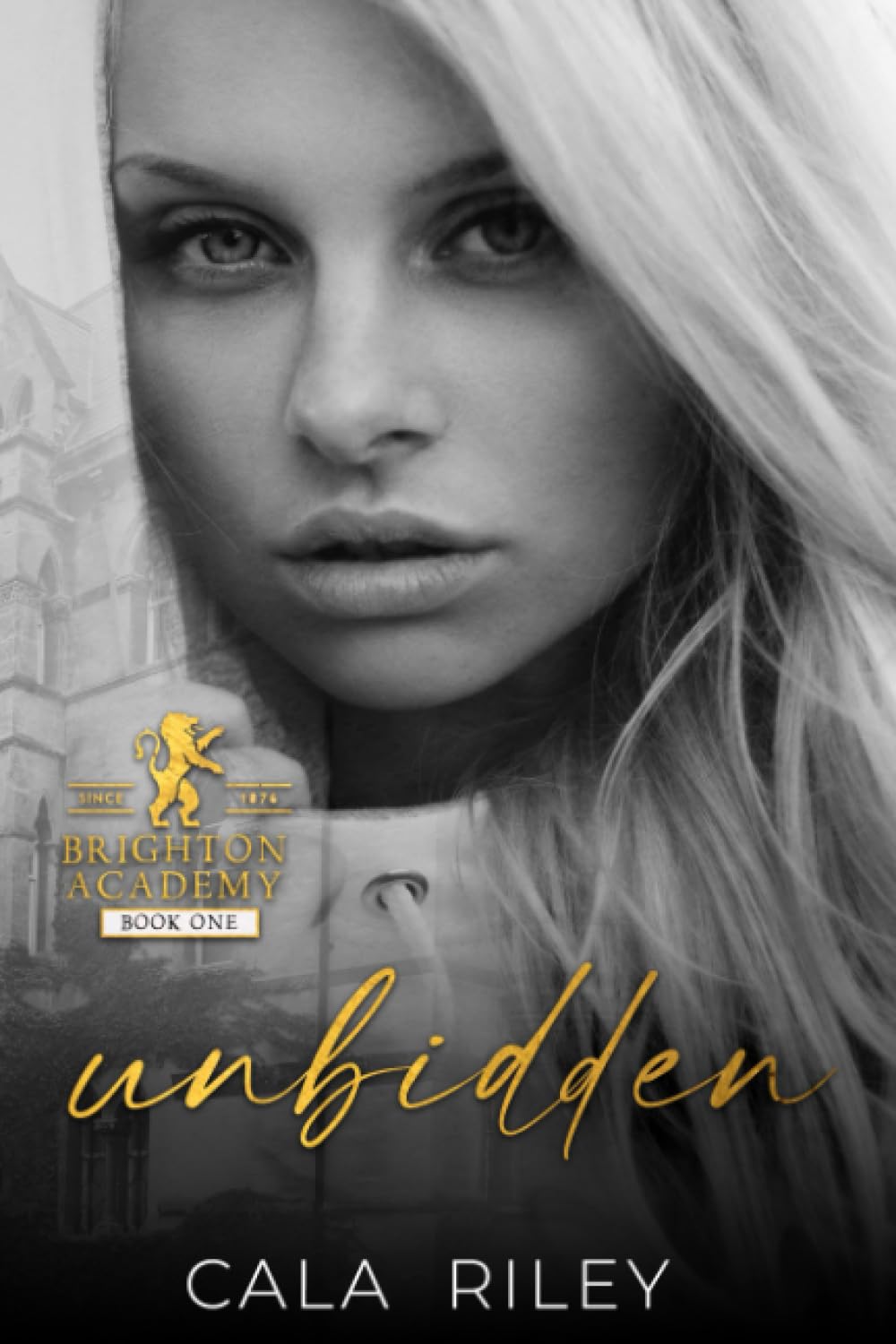 Unbidden: Bully high school romance (Brighton Academy)