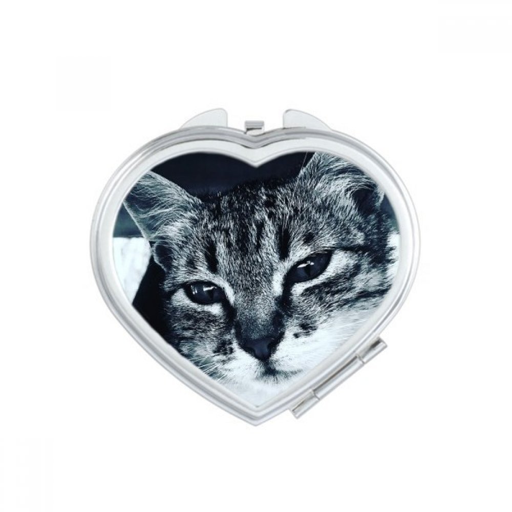Miroir de poche chat bleu mignon pour retouches maquillage rapides en voyage