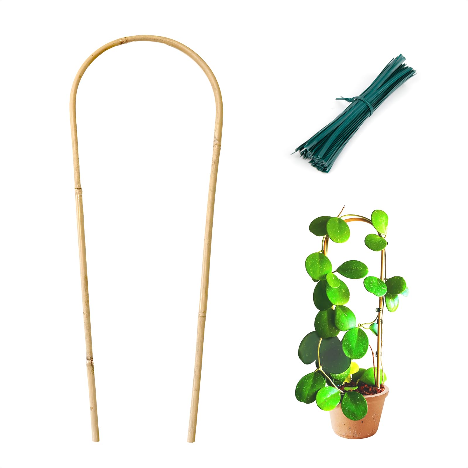 Cambaverd Indoor Plant Trellis for Potted Plants 16in, 6pcs Bamboo Trellis