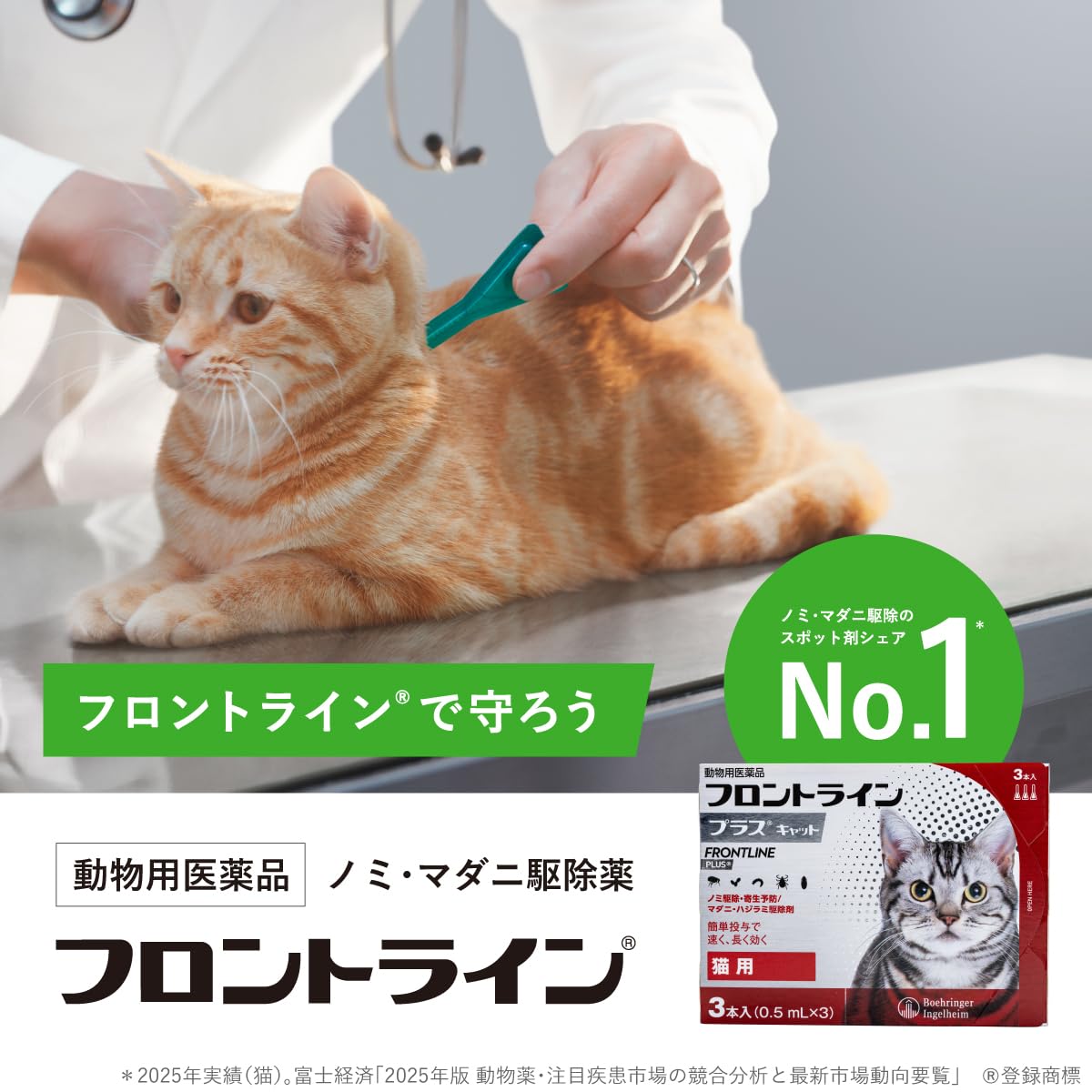 Amazon.co.jp: 【動物用医薬品】フロントライン プラス キャット 猫用