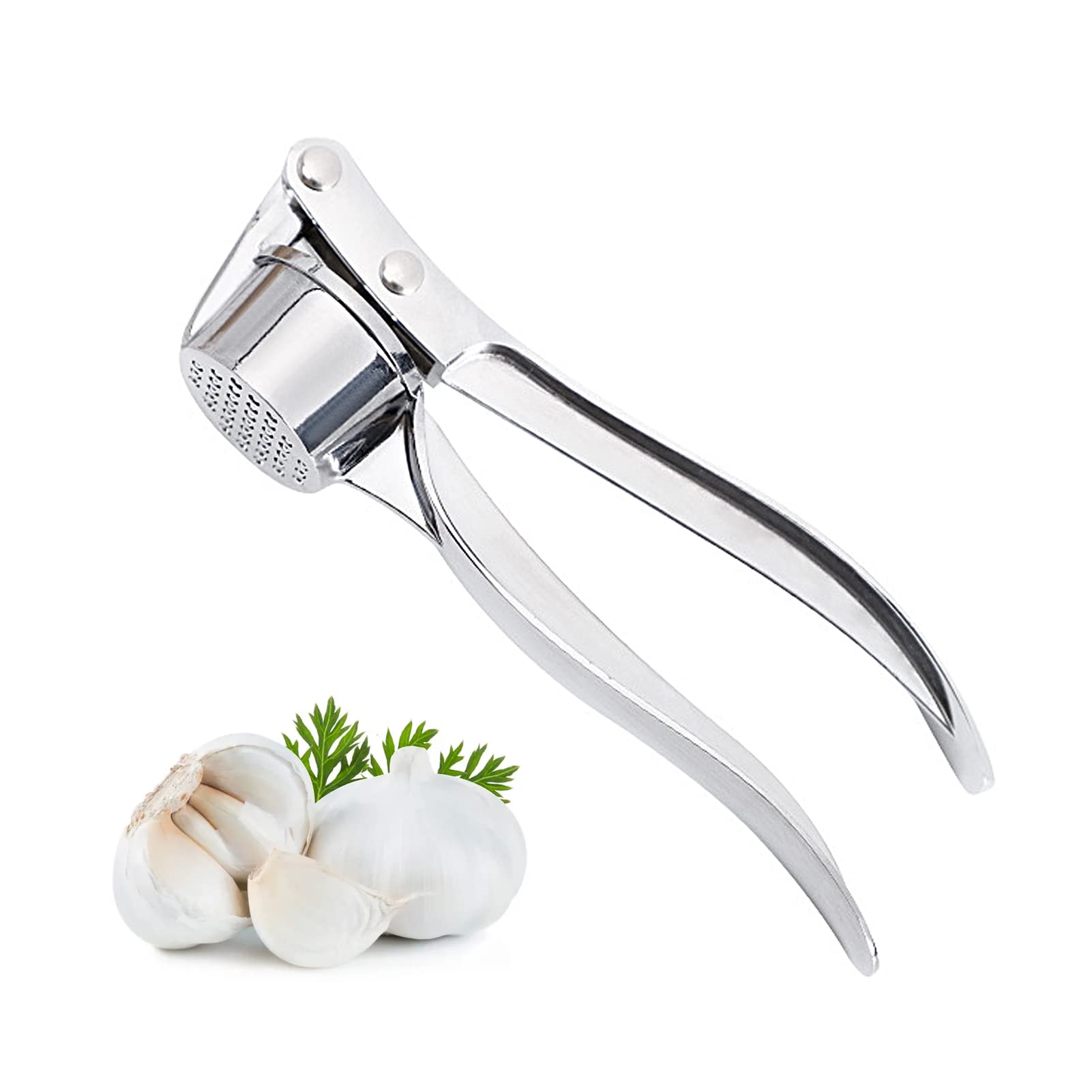 DAYONG Stainless Garlic Press,Large Capacity Chamber,Heavy Duty Garlic Ginger Crusher Dishwasher Safe Rustproof (Silver)