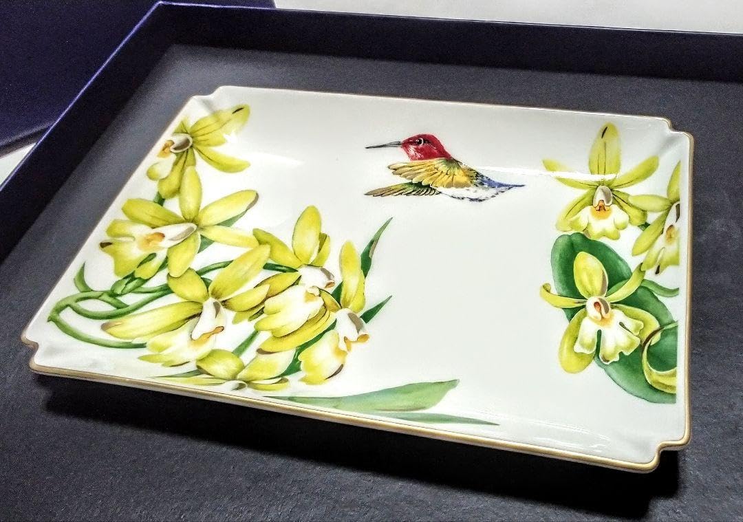 Amazon.co.jp: ブランド食器(ビレロイボッホアマゾニアプレート&蓋付