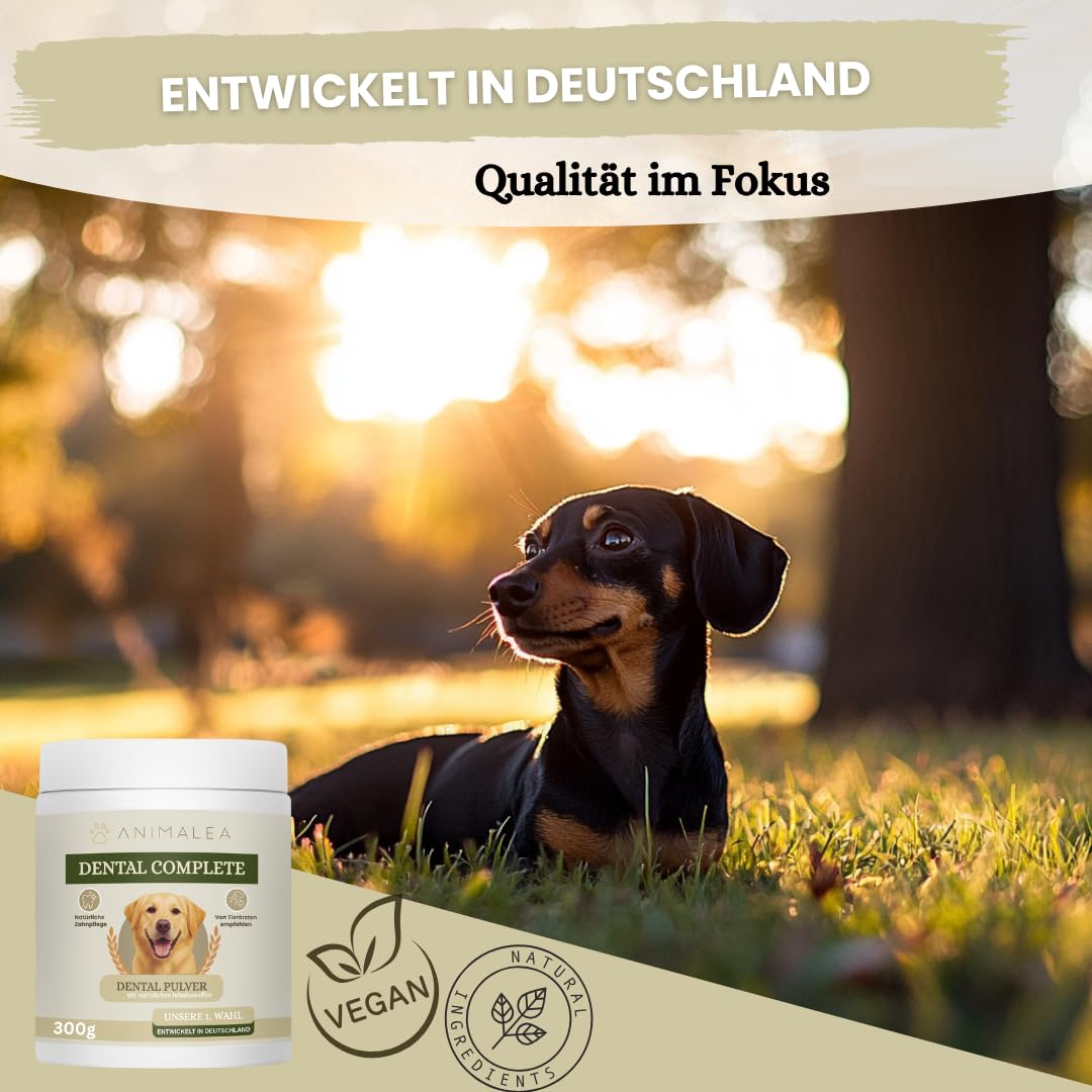 Zahnpflege Pulver für Hunde 300g - [Vorteilspack] - Zahnsteinentferner Hund - Zahnpflege gegen Mundgeruch & Zahnstein - Plaque Entfernung - Zahnpflege Hund - Futter Topping - Dental Pulver für Hunde