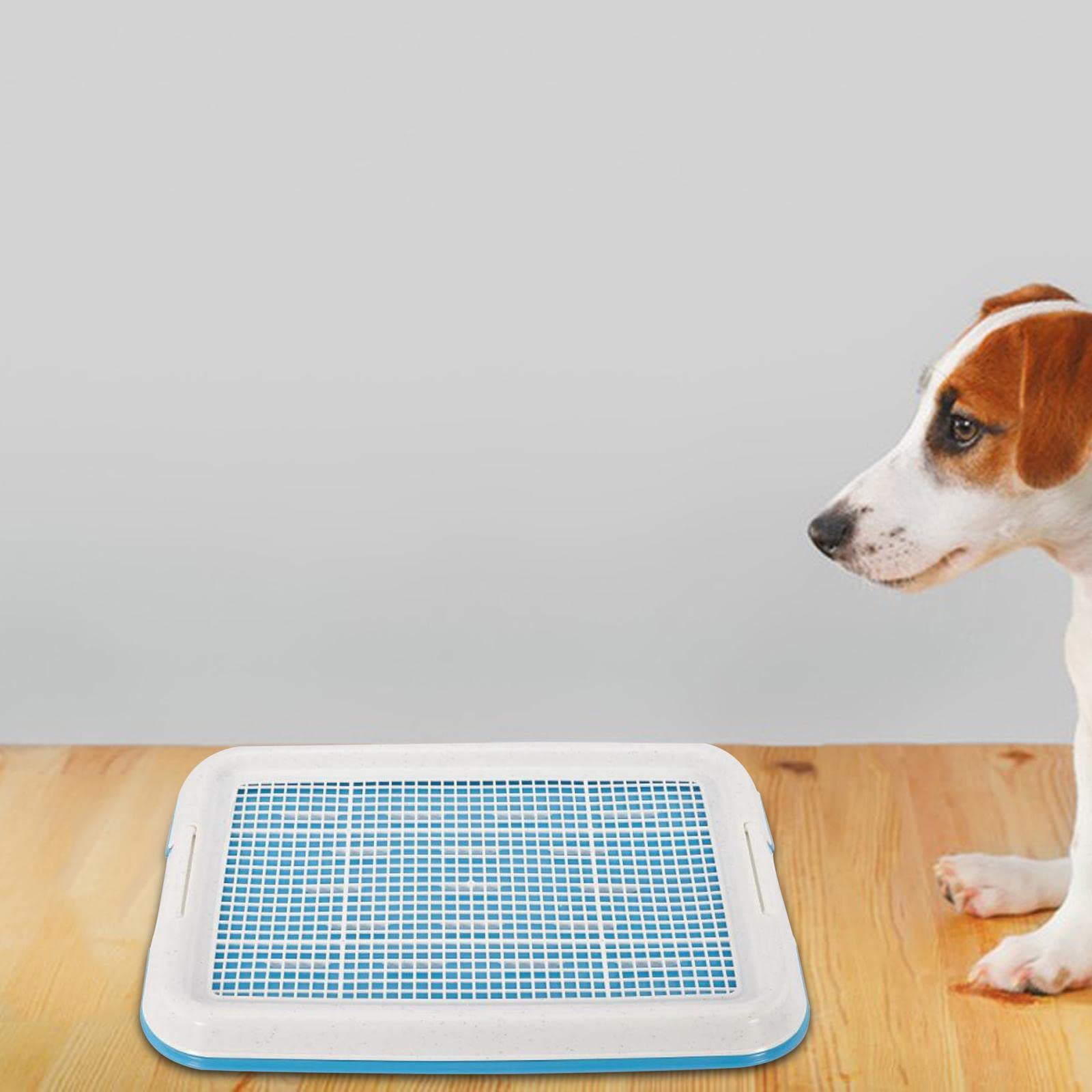 Chien Pot Toilette Formation Plateau Maille Pot Formation Plateau Chiot Pipi Support Coussin Pot entraîneur pour Chiots, Bleu